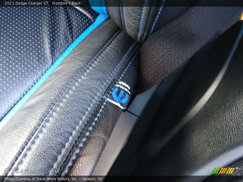 Frostbite / Black 2021 Dodge Charger GT