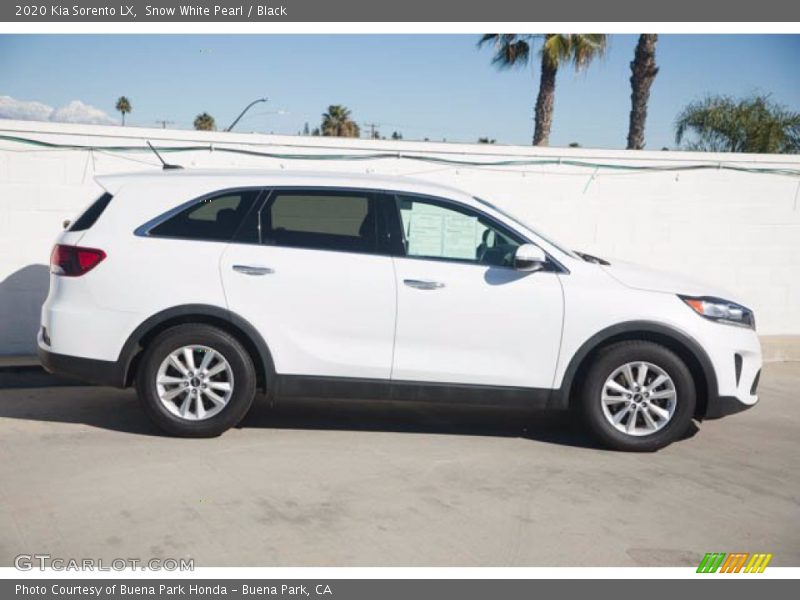 Snow White Pearl / Black 2020 Kia Sorento LX