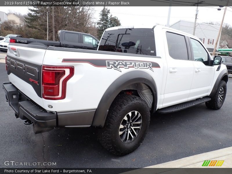 Oxford White / Raptor Black 2019 Ford F150 SVT Raptor SuperCrew 4x4