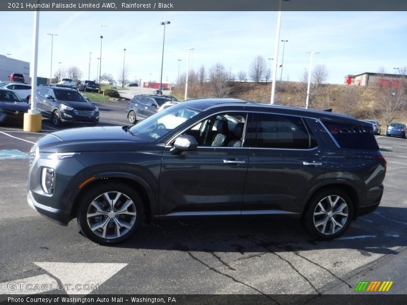 Rainforest / Black 2021 Hyundai Palisade Limited AWD