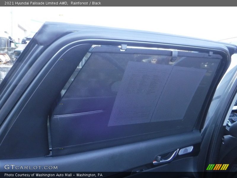 Rainforest / Black 2021 Hyundai Palisade Limited AWD