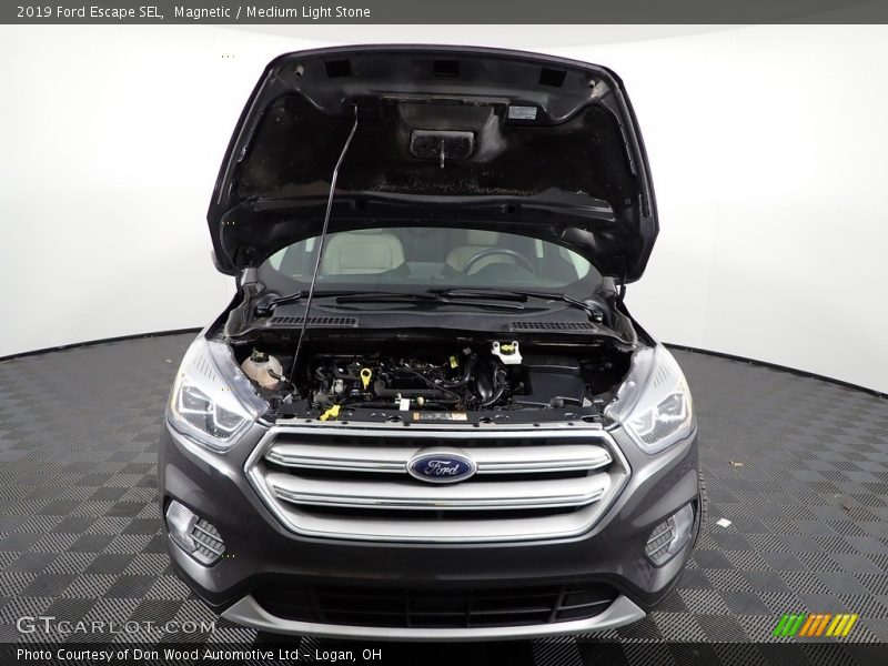 Magnetic / Medium Light Stone 2019 Ford Escape SEL