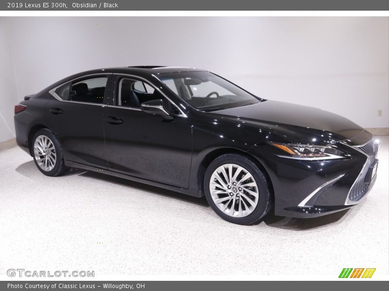 Obsidian / Black 2019 Lexus ES 300h