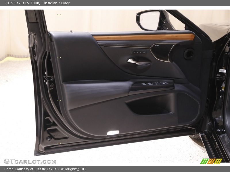 Obsidian / Black 2019 Lexus ES 300h
