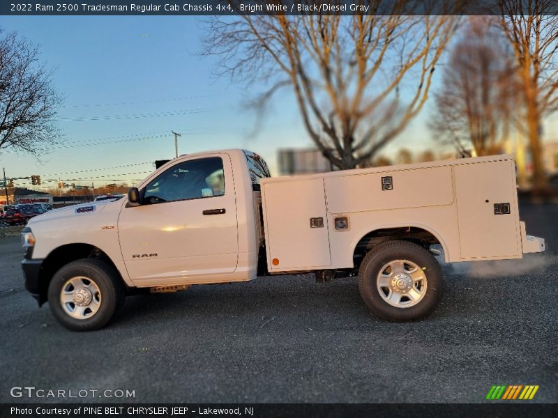  2022 2500 Tradesman Regular Cab Chassis 4x4 Bright White