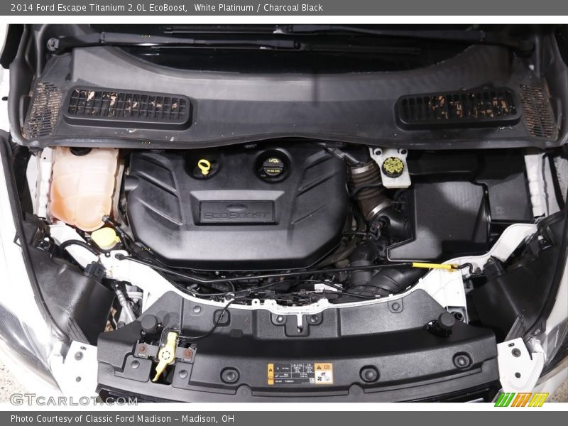 White Platinum / Charcoal Black 2014 Ford Escape Titanium 2.0L EcoBoost