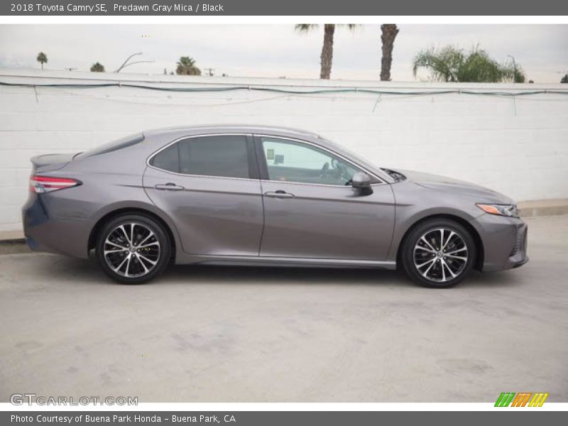 Predawn Gray Mica / Black 2018 Toyota Camry SE