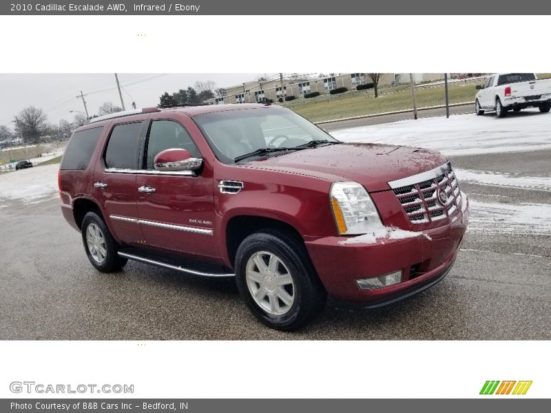 Infrared / Ebony 2010 Cadillac Escalade AWD
