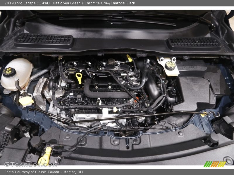 Baltic Sea Green / Chromite Gray/Charcoal Black 2019 Ford Escape SE 4WD