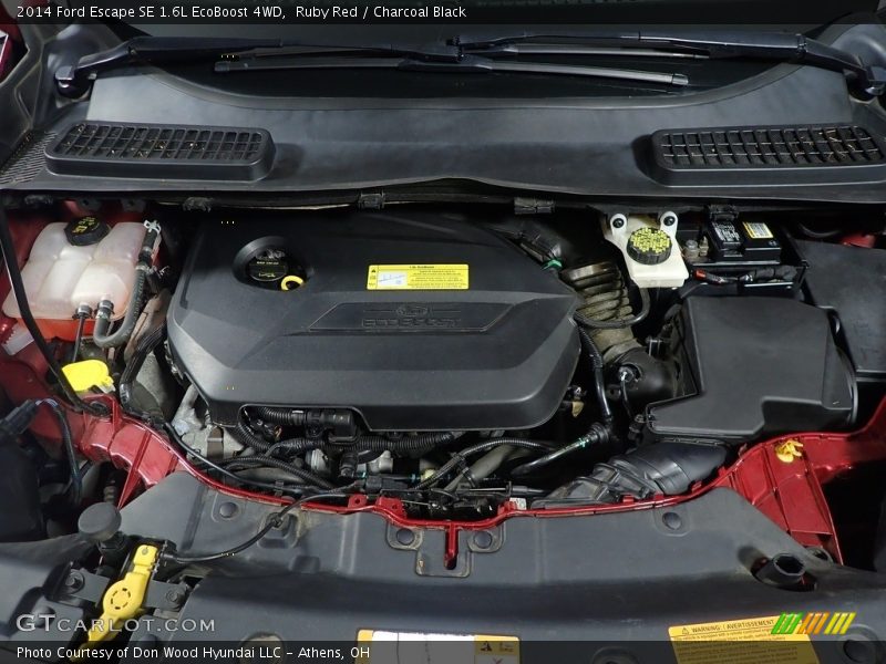 Ruby Red / Charcoal Black 2014 Ford Escape SE 1.6L EcoBoost 4WD