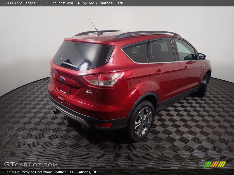 Ruby Red / Charcoal Black 2014 Ford Escape SE 1.6L EcoBoost 4WD