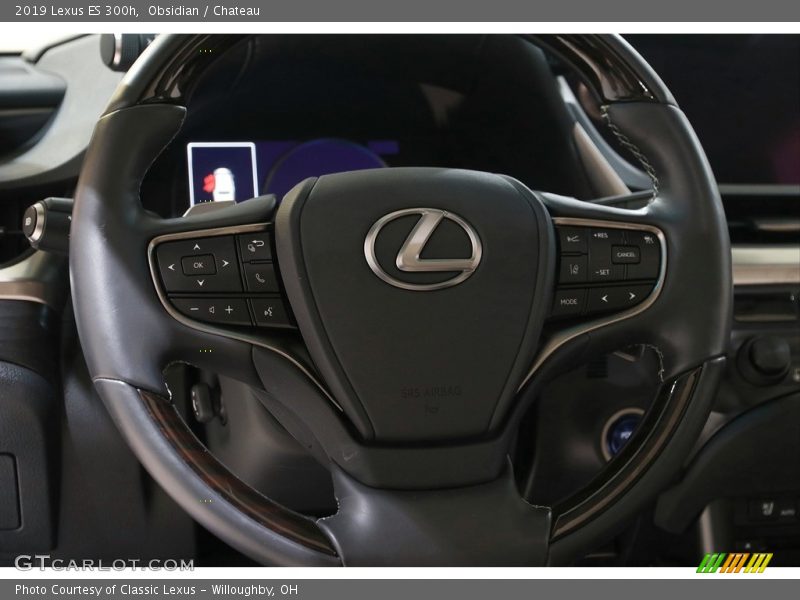 Obsidian / Chateau 2019 Lexus ES 300h