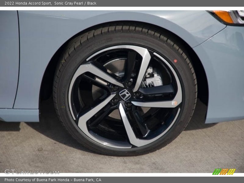 Sonic Gray Pearl / Black 2022 Honda Accord Sport