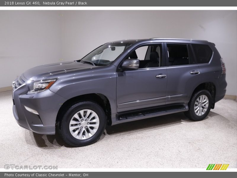 Nebula Gray Pearl / Black 2018 Lexus GX 460