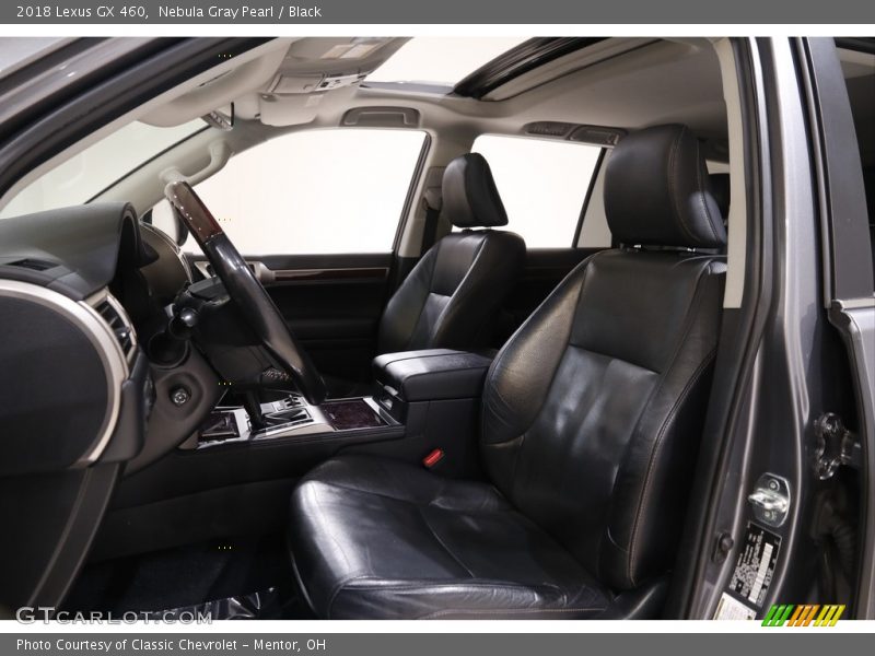 Nebula Gray Pearl / Black 2018 Lexus GX 460
