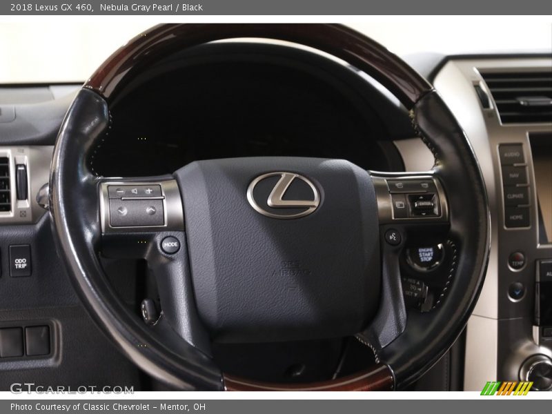 Nebula Gray Pearl / Black 2018 Lexus GX 460