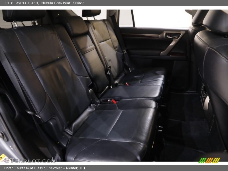 Nebula Gray Pearl / Black 2018 Lexus GX 460