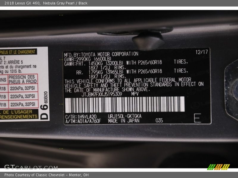 Nebula Gray Pearl / Black 2018 Lexus GX 460