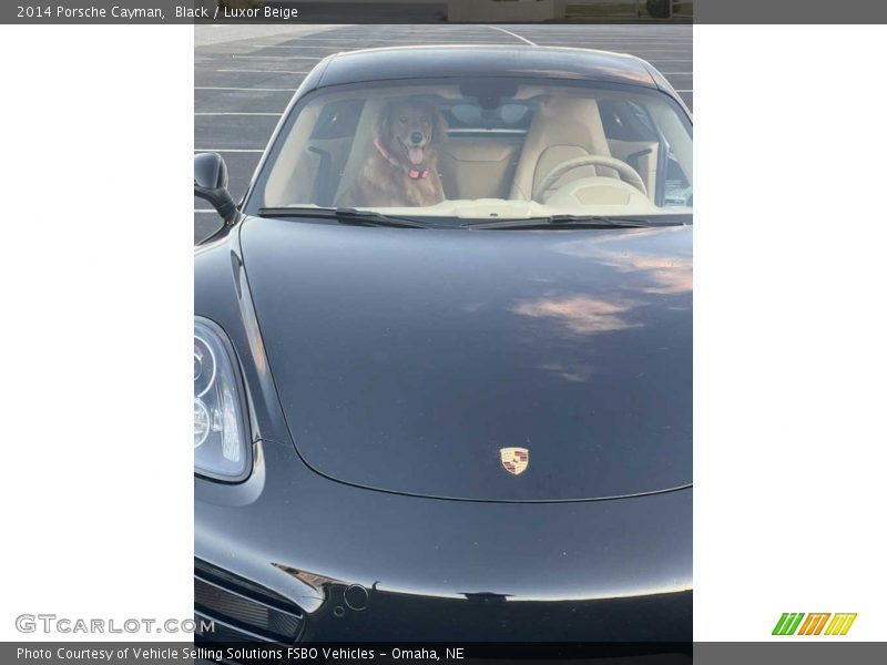 Black / Luxor Beige 2014 Porsche Cayman