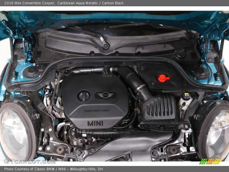 Caribbean Aqua Metallic / Carbon Black 2016 Mini Convertible Cooper