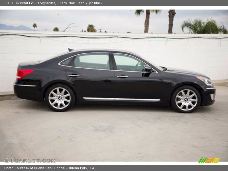  2013 Equus Signature Black Noir Pearl