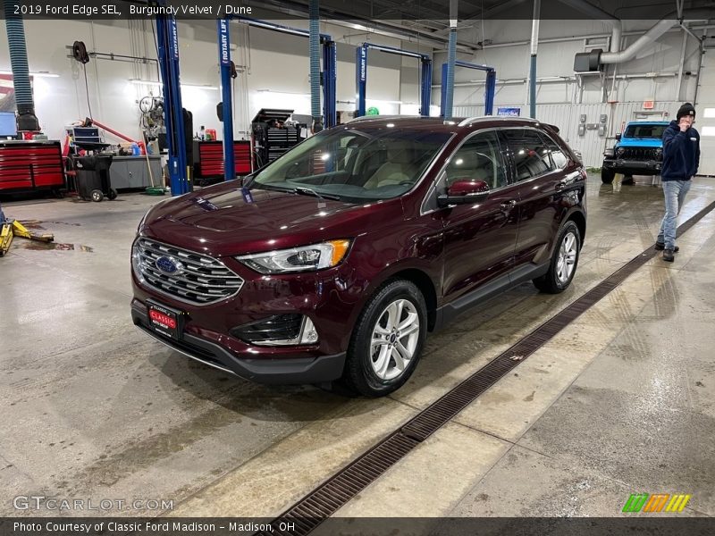 Burgundy Velvet / Dune 2019 Ford Edge SEL