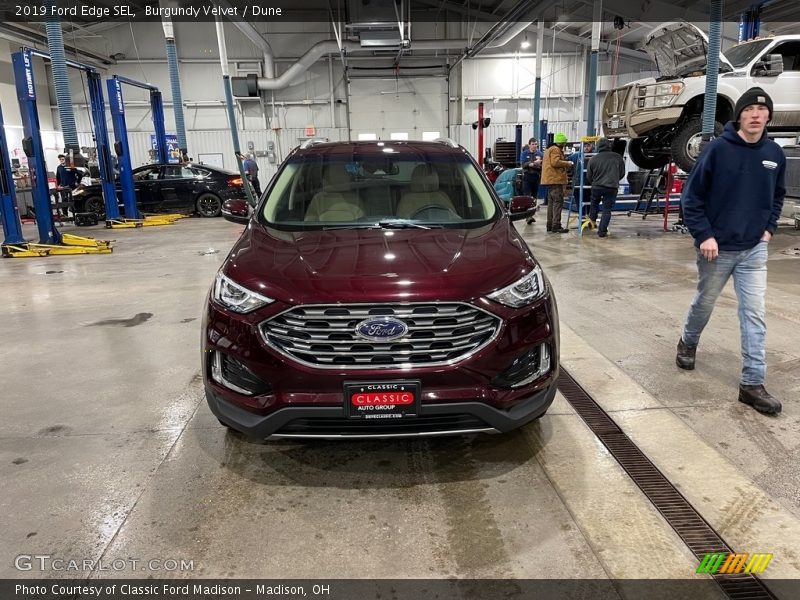 Burgundy Velvet / Dune 2019 Ford Edge SEL