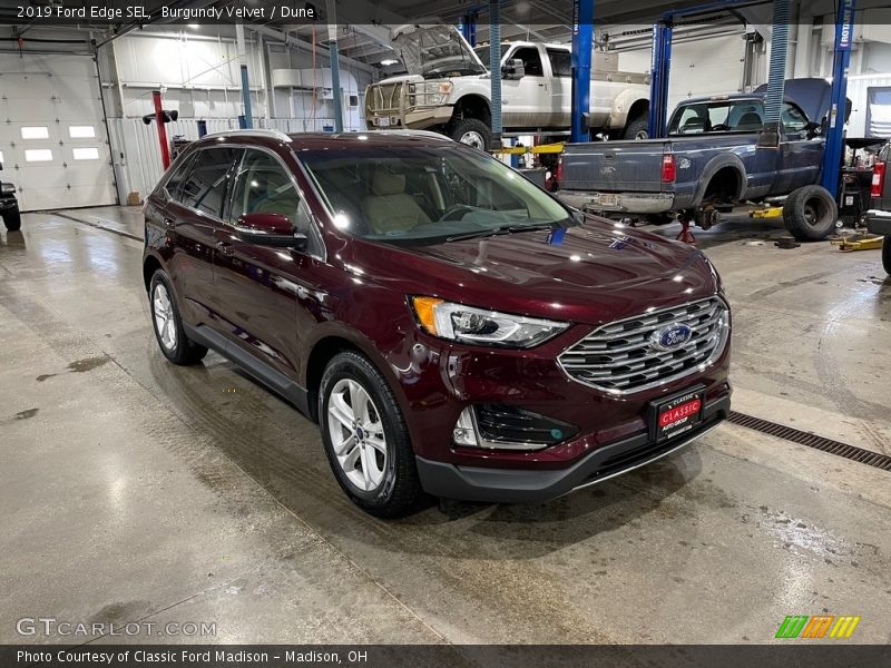 Burgundy Velvet / Dune 2019 Ford Edge SEL