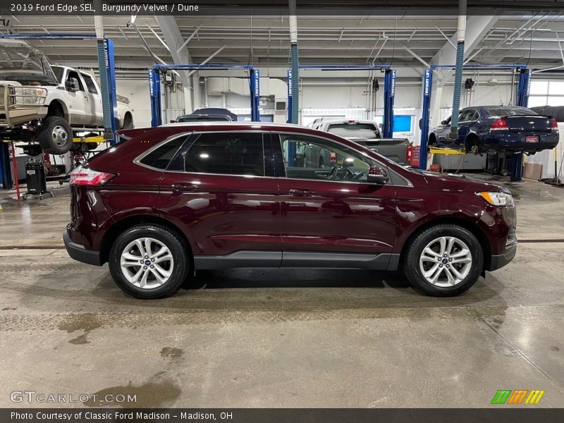 Burgundy Velvet / Dune 2019 Ford Edge SEL