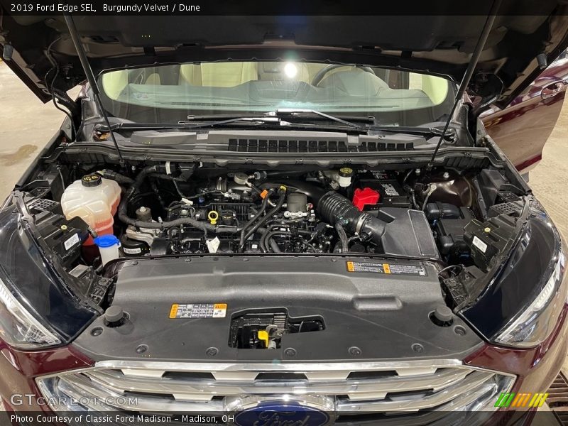 Burgundy Velvet / Dune 2019 Ford Edge SEL