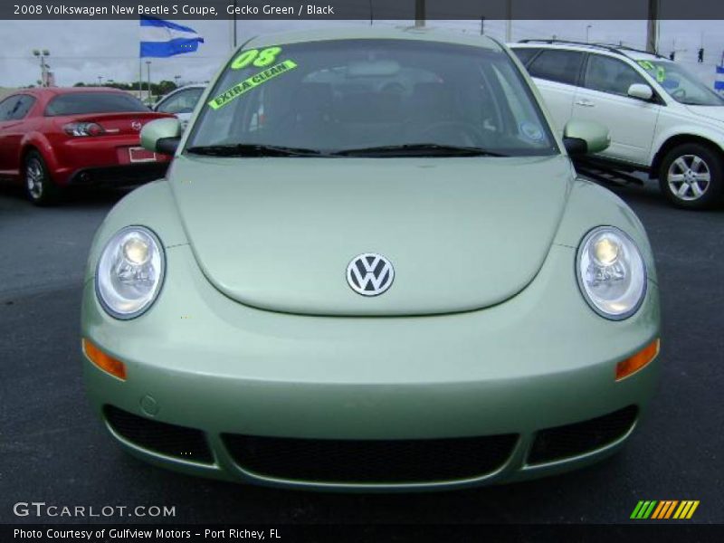 Gecko Green / Black 2008 Volkswagen New Beetle S Coupe