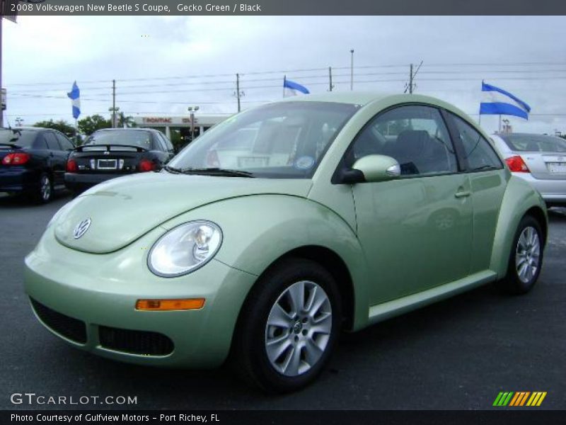 Gecko Green / Black 2008 Volkswagen New Beetle S Coupe