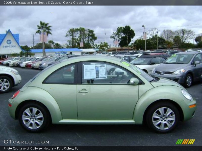 Gecko Green / Black 2008 Volkswagen New Beetle S Coupe