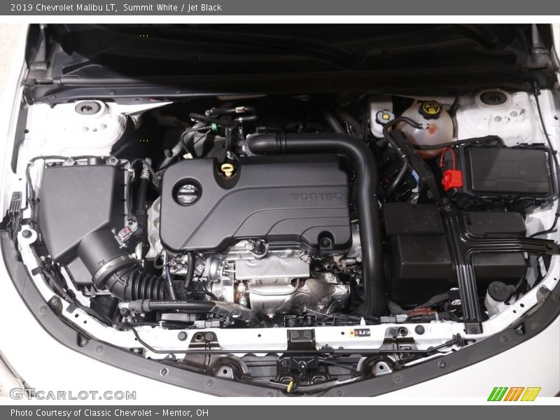 Summit White / Jet Black 2019 Chevrolet Malibu LT