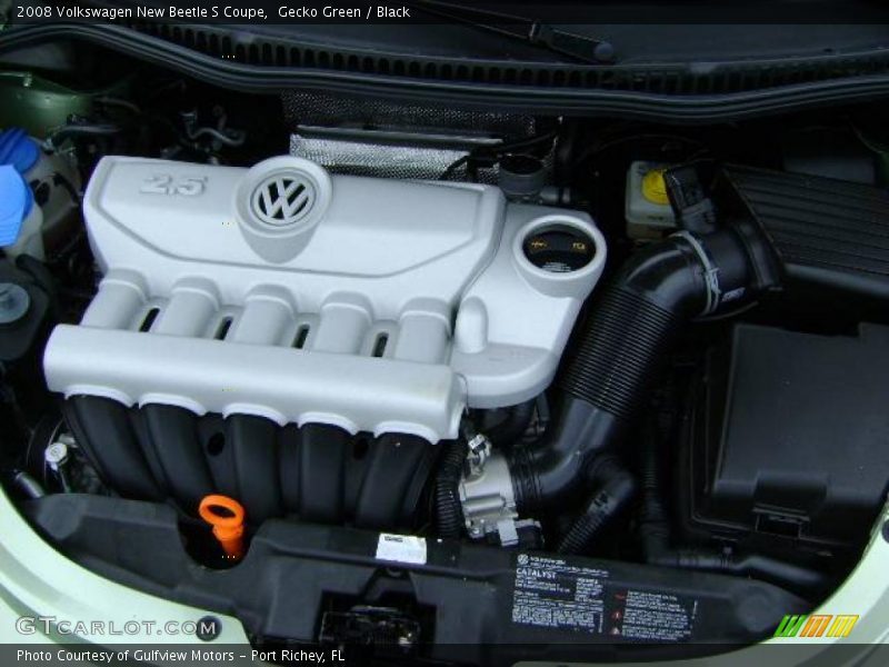 Gecko Green / Black 2008 Volkswagen New Beetle S Coupe