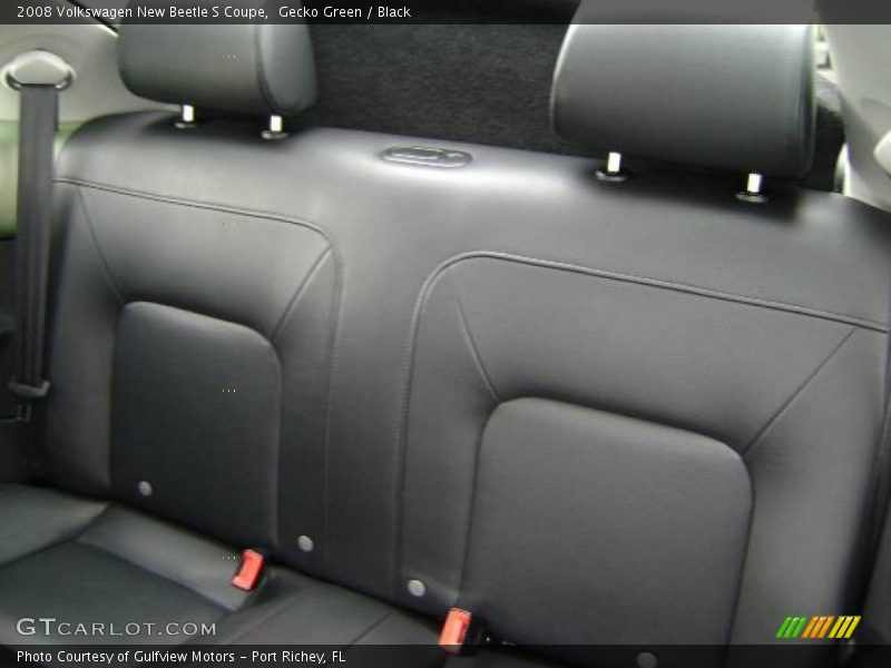 Gecko Green / Black 2008 Volkswagen New Beetle S Coupe