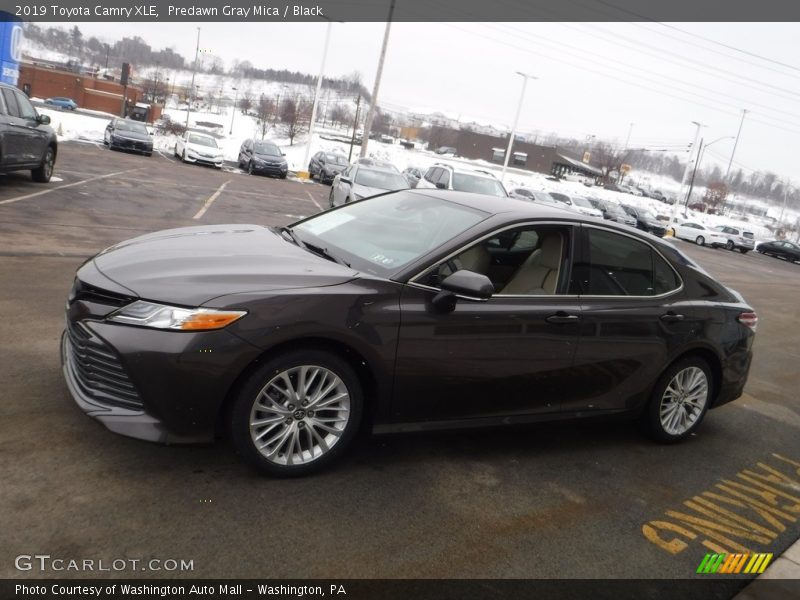 Predawn Gray Mica / Black 2019 Toyota Camry XLE