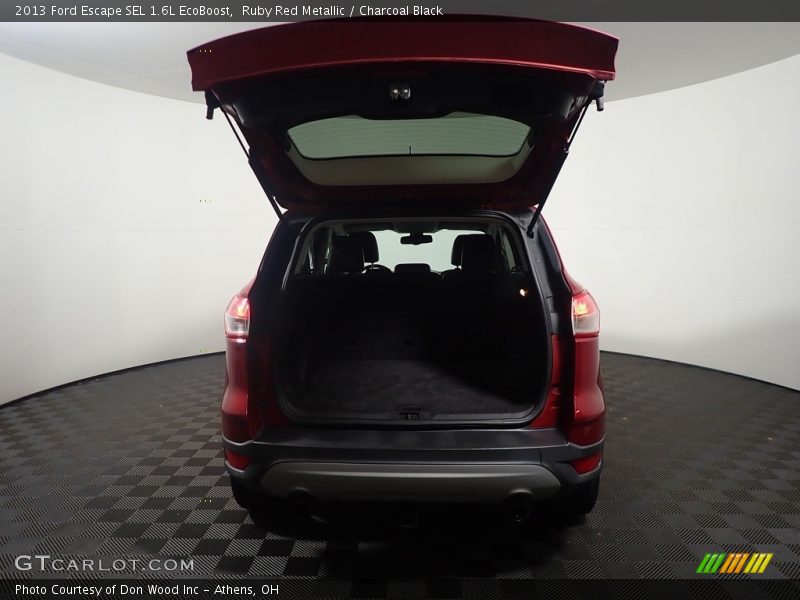 Ruby Red Metallic / Charcoal Black 2013 Ford Escape SEL 1.6L EcoBoost