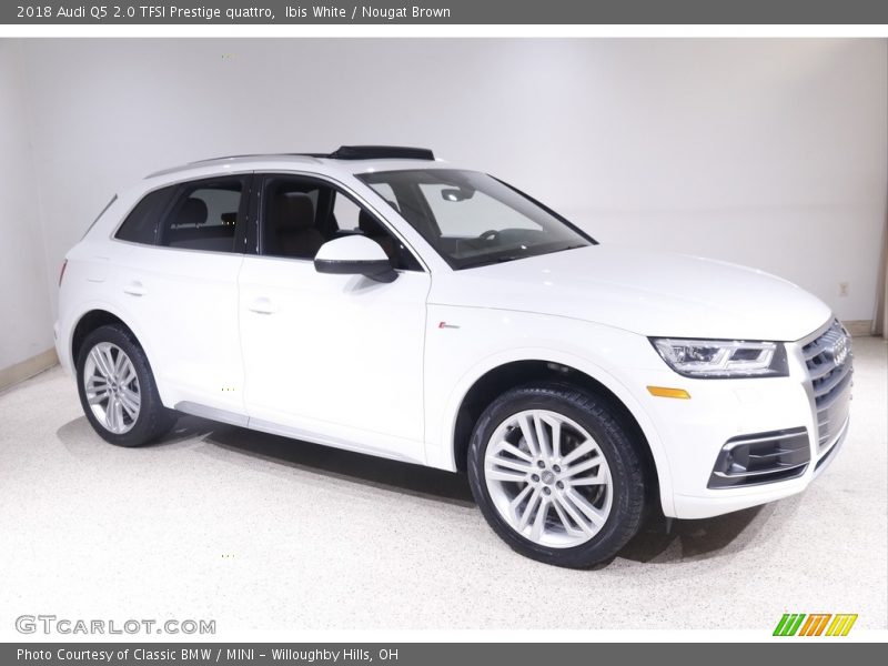 Ibis White / Nougat Brown 2018 Audi Q5 2.0 TFSI Prestige quattro