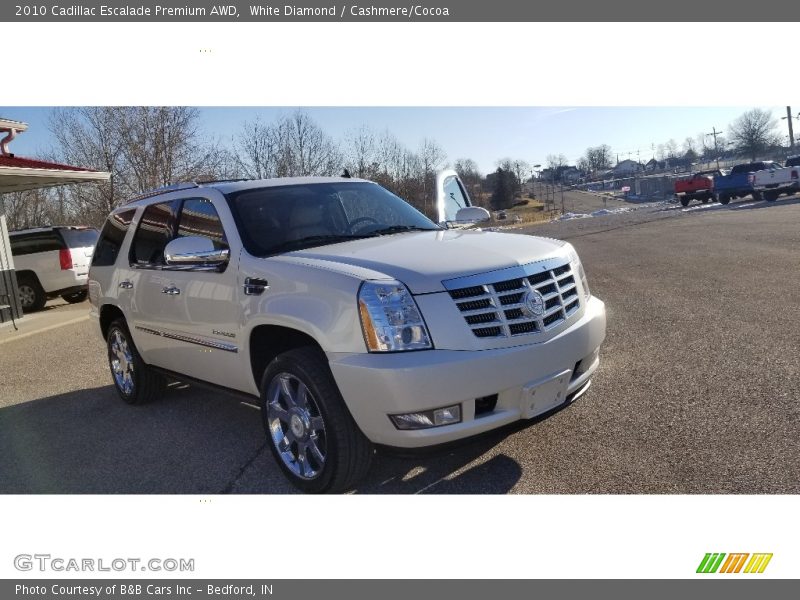 White Diamond / Cashmere/Cocoa 2010 Cadillac Escalade Premium AWD