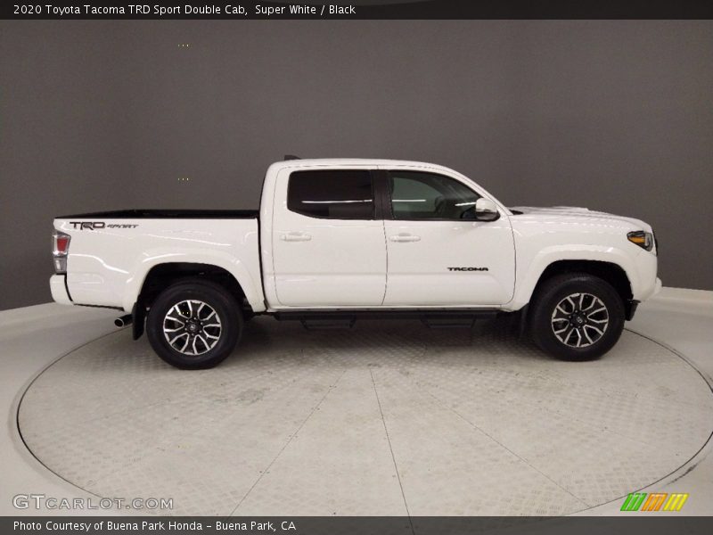 Super White / Black 2020 Toyota Tacoma TRD Sport Double Cab