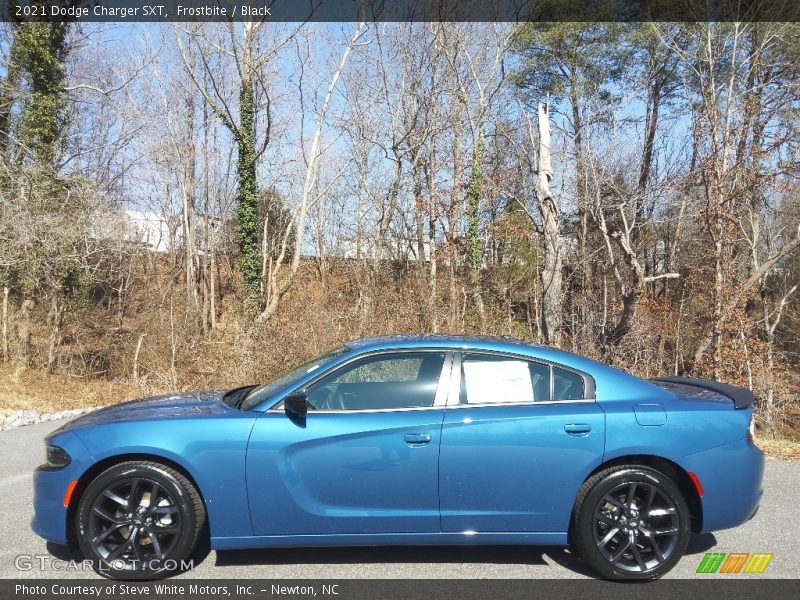 Frostbite / Black 2021 Dodge Charger SXT