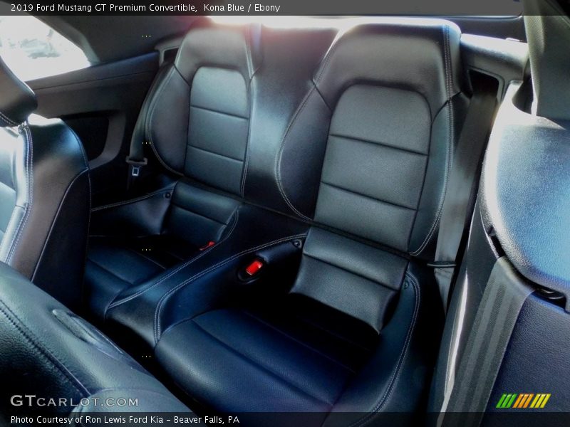 Kona Blue / Ebony 2019 Ford Mustang GT Premium Convertible