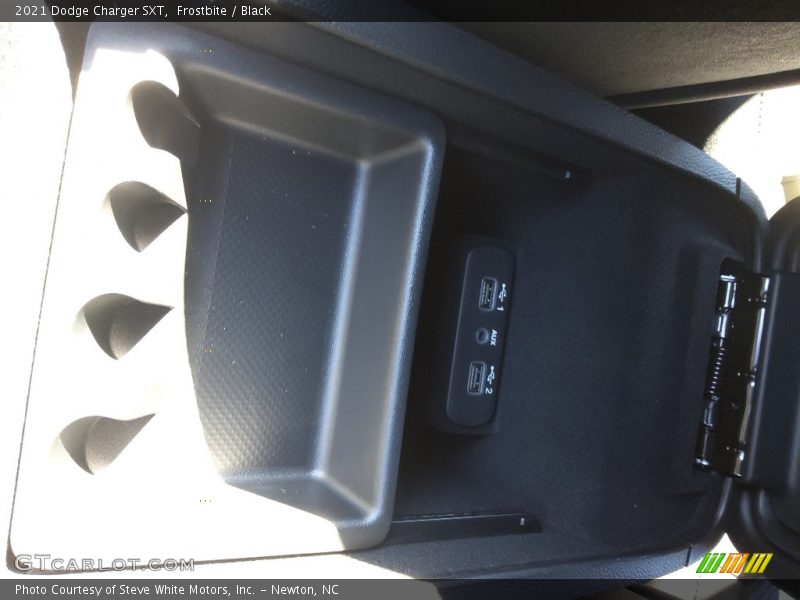 Frostbite / Black 2021 Dodge Charger SXT