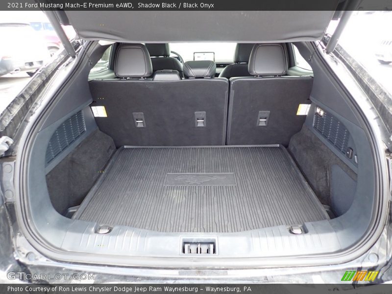 Shadow Black / Black Onyx 2021 Ford Mustang Mach-E Premium eAWD