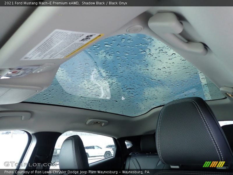 Shadow Black / Black Onyx 2021 Ford Mustang Mach-E Premium eAWD