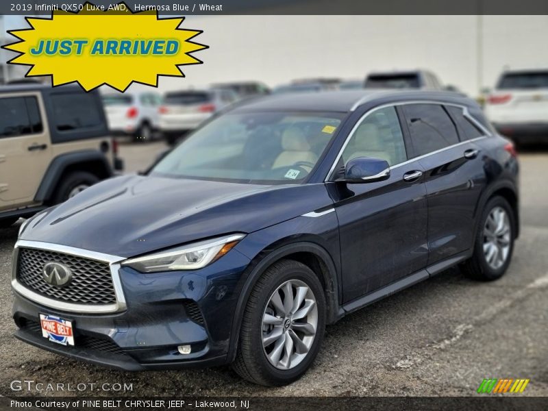 Hermosa Blue / Wheat 2019 Infiniti QX50 Luxe AWD