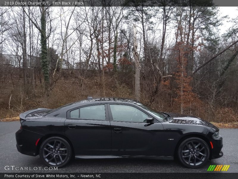  2019 Charger R/T Pitch Black