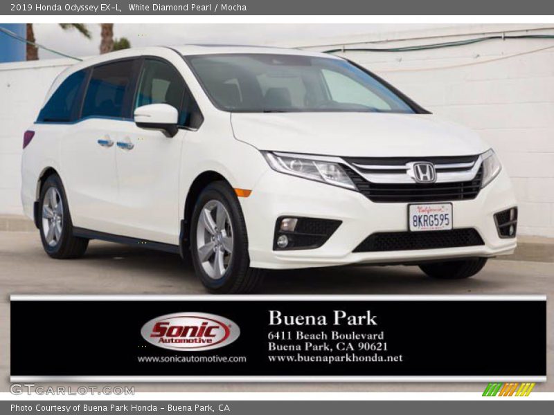 White Diamond Pearl / Mocha 2019 Honda Odyssey EX-L