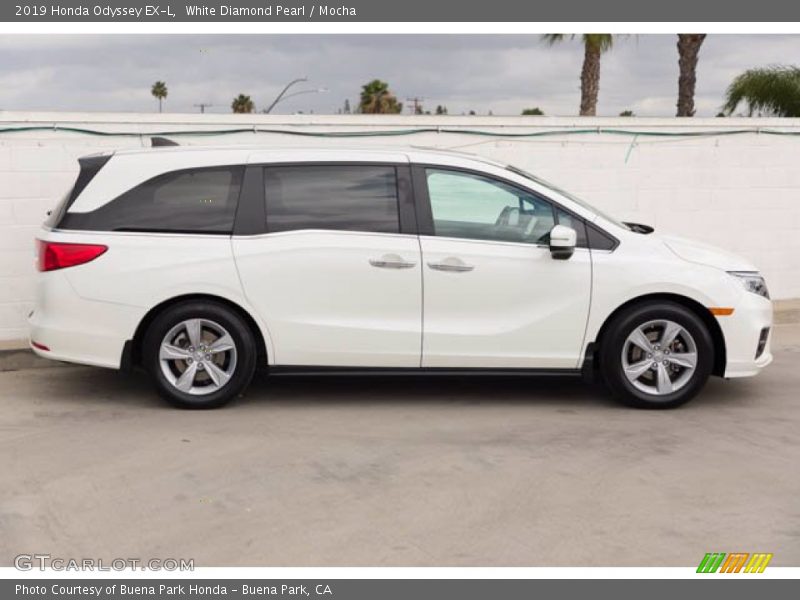 White Diamond Pearl / Mocha 2019 Honda Odyssey EX-L